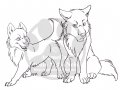 wolf-pair.jpg